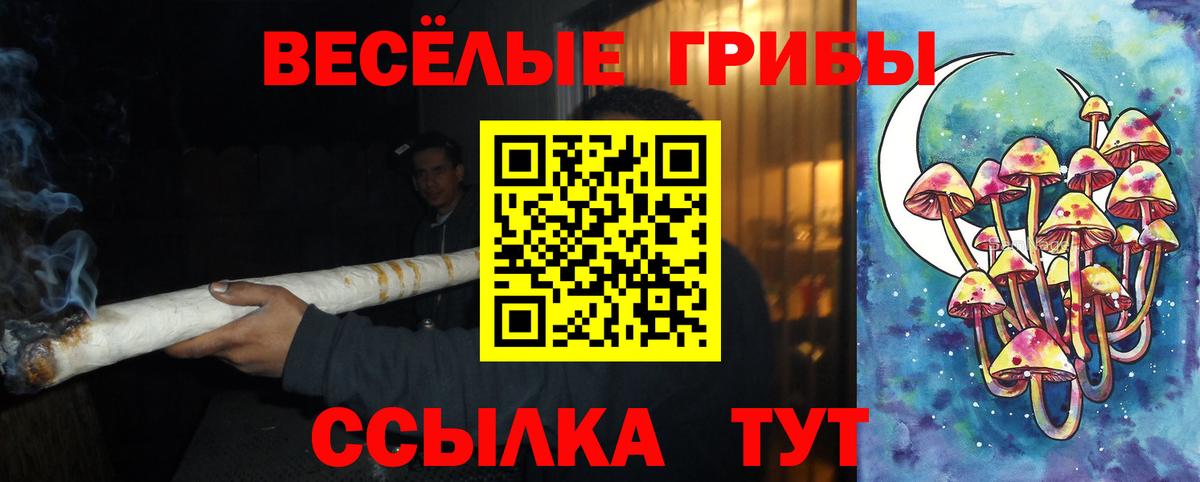 Псилоцибиновые грибы GOLDEN TEACHER  Вход с VPN  сколько стоит  Ирбит 