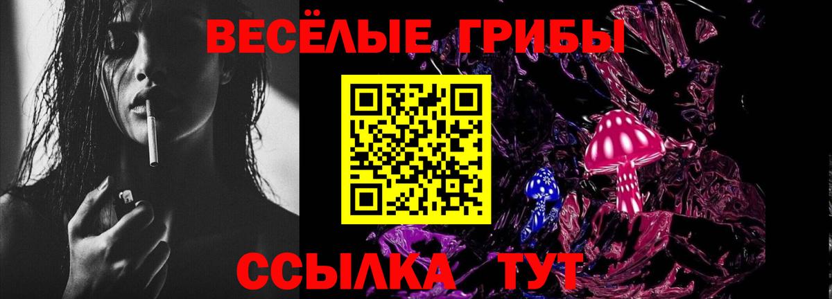 Псилоцибиновые грибы Ирбит